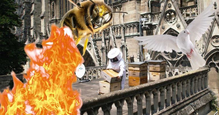 Méhek és madárcsaládok pusztultak el Notre-Dameban
